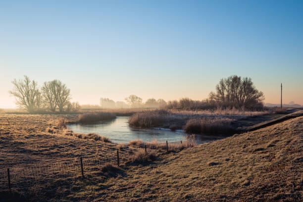 istock Dutch National Park Biesbosch in wintertime 1154588142