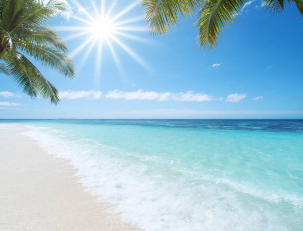 Tropical paradise beach in the sun