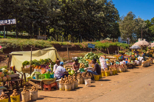 Several fruit and vegetable stalls on the road to Samburu stock photo