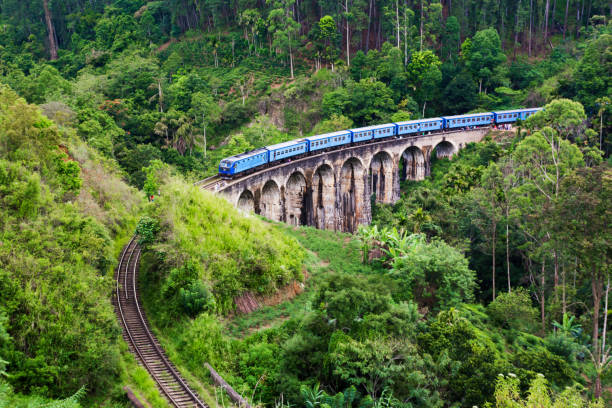 istock The Nine Arches Demodara Bridge, Sri Lanka 1154589327