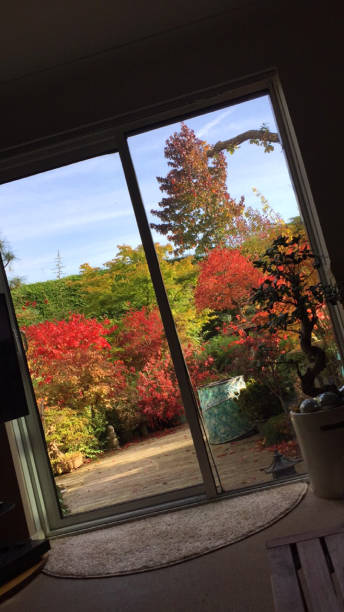 istock Image of modern home interior design sunny lounge double doors, red autumn fall colours outside, sliding patio doors sitting room, inside outside living space garden view of decking timber patio, autumnal trees, acers and Japanese maples, bonsai tree 1154590450