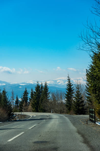 route près des montagnes. route asphaltée avec des arbres près, montagne d’hiver en arrière-plan. ciel bleu. - himachal photos et images de collection
