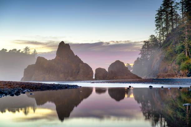 istock Olympic National Park, Washington 1154591837