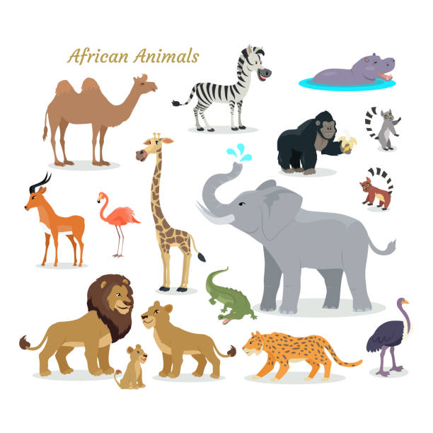 afrikanische tierarten. niedliche tiere flat vector. - ostrich ape animal monkey stock-grafiken, -clipart, -cartoons und -symbole