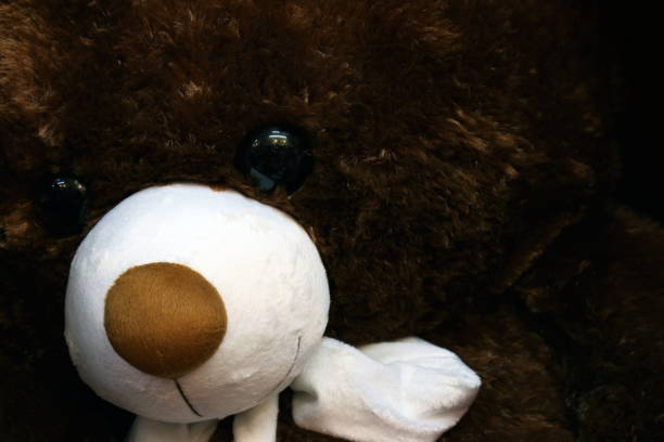 istock doll cute teddy bear brown face close up, little bear doll, face teddy bear (selective focus) 1154596471