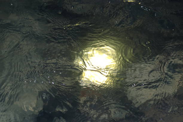 water surface with lighting lamp in swimming pool, underwater lamp, water wave and lighting bulb reflector decorate below the surface