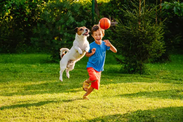 Photo of Family having fun outdoor with dog and basketball ball