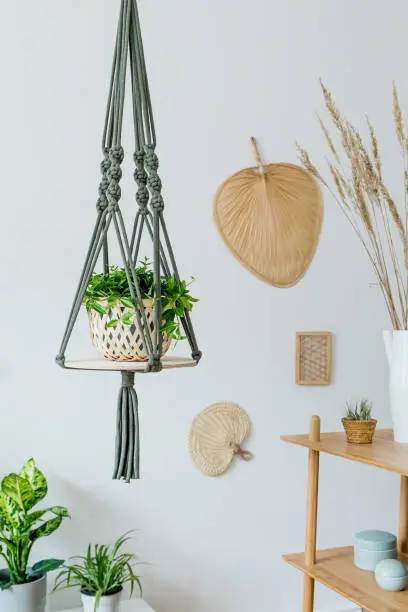 Craft macrame shelf planter hanger for indoor plants, rattan shelf, furnitures and elegant accessories. Cozy home decor. Stylish and minimalistic boho interior of living room.