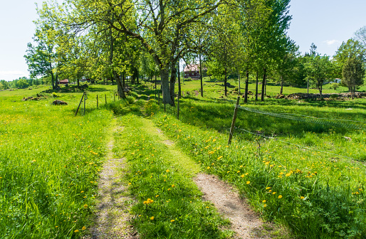 Small rural road in the countryside och Sweden