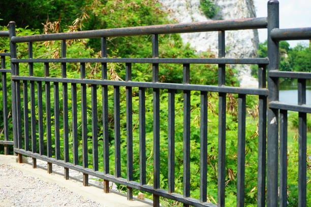 istock Rusty iron fence with green plant 1154598272
