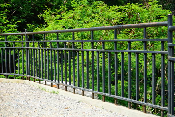 istock Iron fence with green plant 1154598347