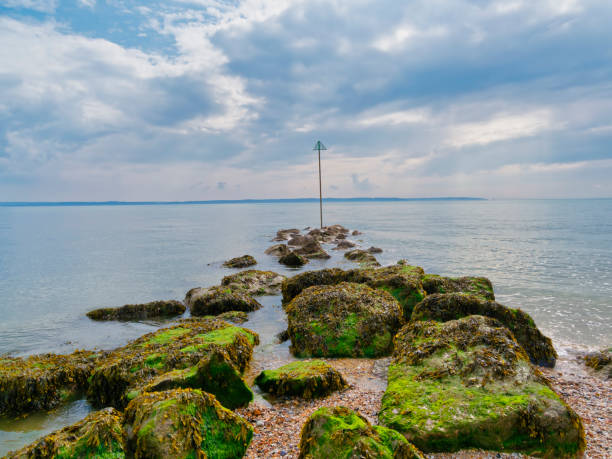 A line of seaweed covered rocks lead out in the the estuary on Lee on Solent beach.