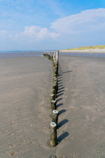 istock Row of wooden posts on West Wittering beach 1154600520