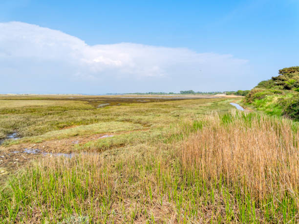 istock Across the saltmarshes near West Wittering beach. 1154600529