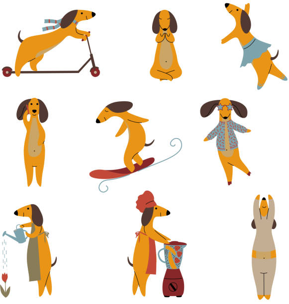 ilustraciones, imágenes clip art, dibujos animados e iconos de stock de juego de perros dachshund brown de pura raza, divertido juguetón mascotas animales personajes de dibujos animados en diferentes situaciones vector illustration - tin can phone