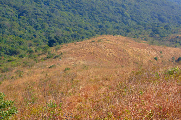 istock 11 Jan 2009 Maclehose Trail hong kong 1154602240