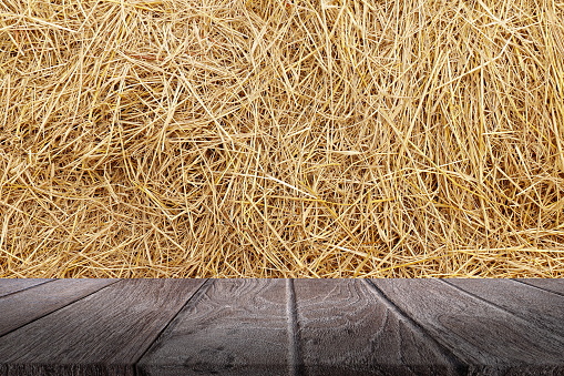 Straw background texture, Wooden floor plank table empty on dry rice straw wall background for copy text space, Straw and wood plank