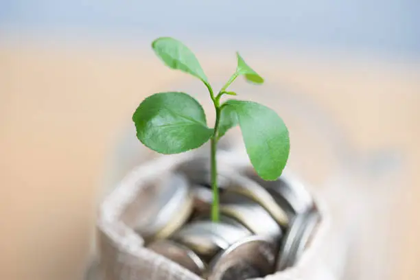 Photo of Coins in sack and plant glowing in savings coins.