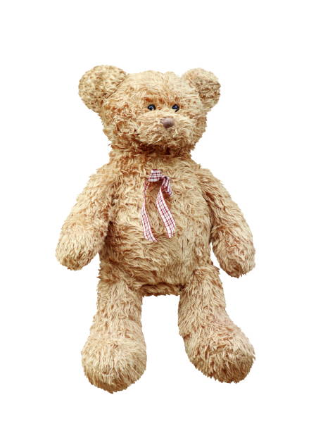 istock Teddy Bear brown, Teddy Bear doll isolated on white background 1154607534