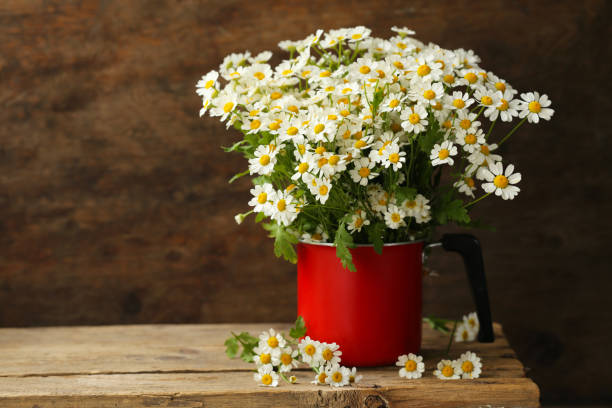istock bouquet of wildflowers 1154608929