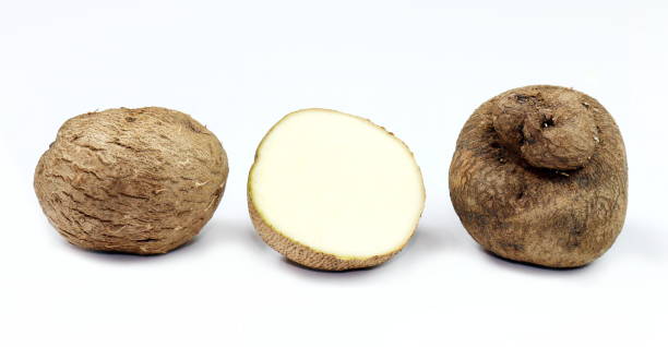 istock Dioscorea, Mun-Neb (Thai word), Fresh Dioscorea tuck, Dioscorea slats root isolated on white background, Rubeola fotografie 1154609158
