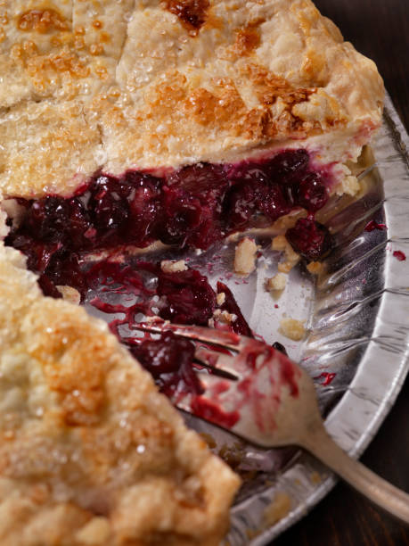 istock Vegan Blueberry and Rhubarb Pie 1154610904