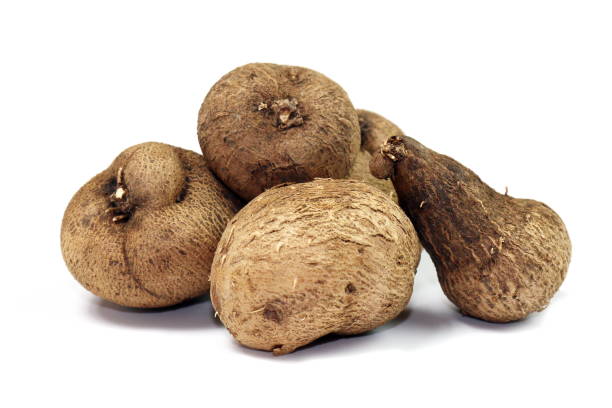istock Dioscorea, Mun-Neb (Thai word), Fresh Dioscorea tuck, Dioscorea slats root isolated on white background, Rubeola fotografie 1154610963