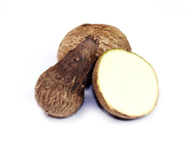 istock Dioscorea, Mun-Neb (Thai word), Fresh Dioscorea tuck, Dioscorea slats root isolated on white background, Rubeola fotografie 1154613660