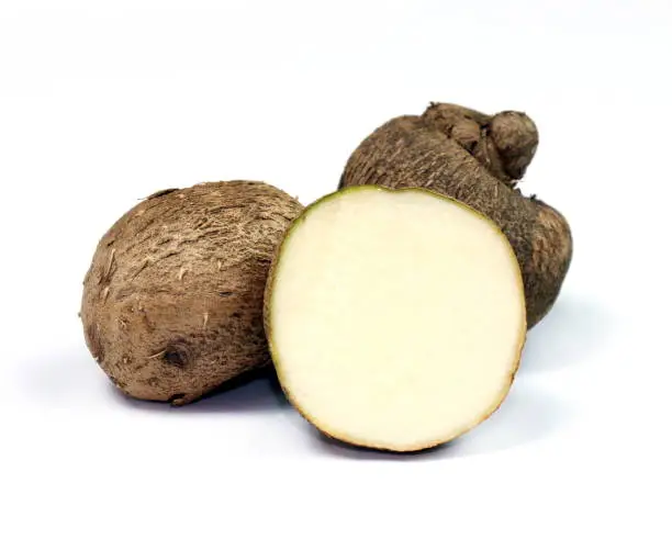 Photo of Dioscorea, Mun-Neb (Thai word), Fresh Dioscorea tuck, Dioscorea slats root isolated on white background, Rubeola fotografie