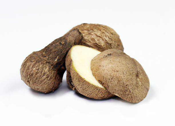 istock Dioscorea, Mun-Neb (Thai word), Fresh Dioscorea tuck, Dioscorea slats root isolated on white background, Rubeola fotografie 1154615157