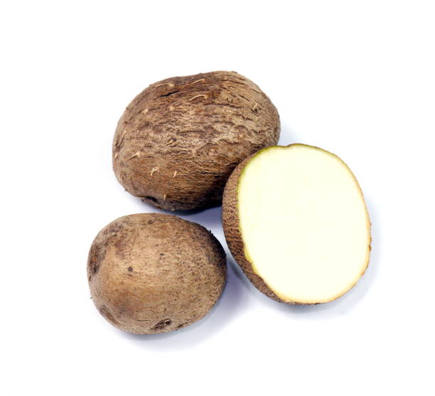 istock Dioscorea, Mun-Neb (Thai word), Fresh Dioscorea tuck, Dioscorea slats root isolated on white background, Rubeola fotografie 1154615239