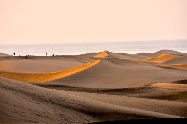 istock Desert with sand dunes in Gran Canaria Spain 1154615312
