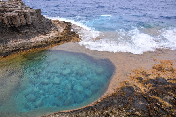 landscape in tropical volcanic canary islands spain - alb imagens e fotografias de stock