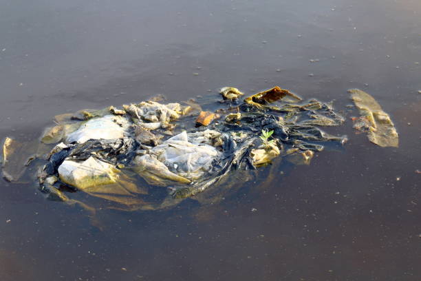 istock Dirty waste plastic bags on the surface water, Waste plastic bags do not Decomposed garbage, polluting nature ecological water dirty, Waste water, Rotten water background 1154617376