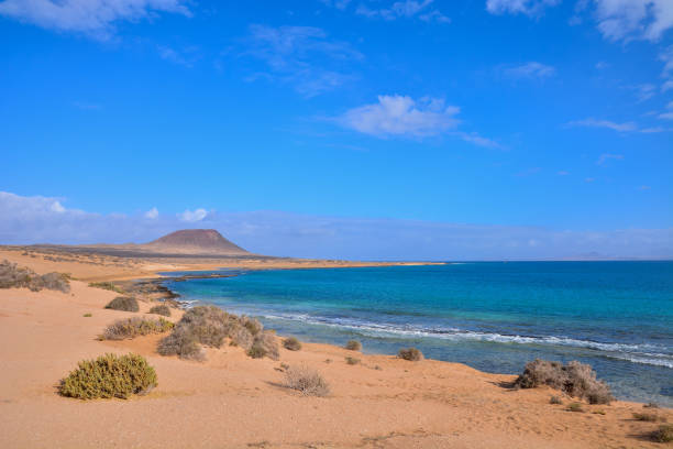 istock Landscape in Tropical Volcanic Canary Islands Spain 1154617435
