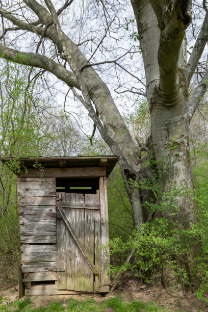 istock An old outhouse by a large tree 1154623074