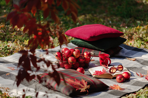 Autumn garden. On the stone bench there is a blanket, pillows, a basket of apples and a burgundy hat with rubber boots.
