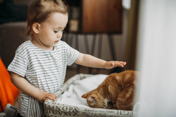istock Child playing with cat at home. Kids and pets. 1154628213