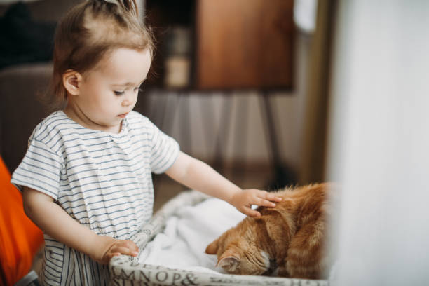 istock Child playing with cat at home. Kids and pets. 1154628402
