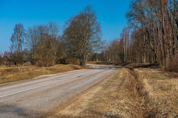 istock simple countryside dirt road in spring 1154629374
