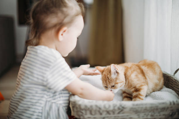 istock Child playing with cat at home. Kids and pets. 1154629454