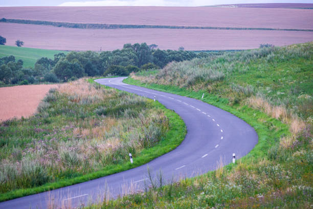 istock simple countryside dirt road in spring 1154629786