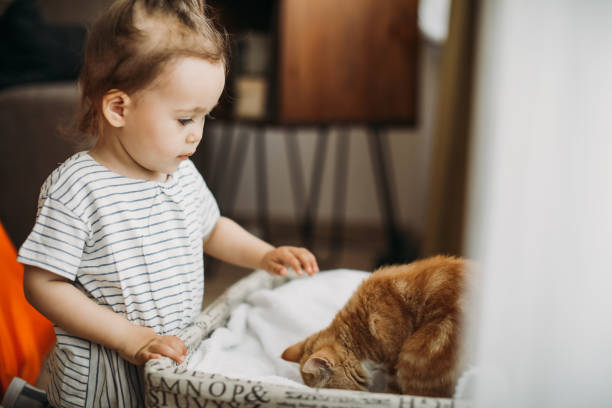 istock Child playing with cat at home. Kids and pets. 1154630745