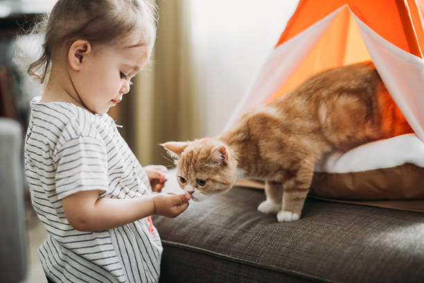 Child playing with cat at home. Kids and pets.