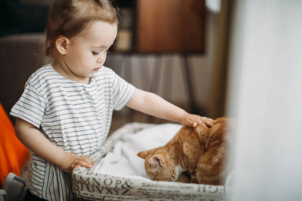 istock Child playing with cat at home. Kids and pets. 1154631027