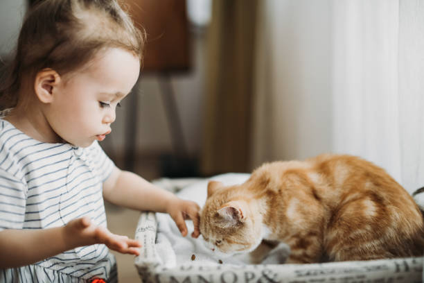 istock Child playing with cat at home. Kids and pets. 1154631587
