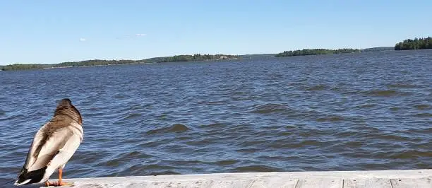 Visit of Lake Mälaren, Västerås in Sweden in End of May 2019