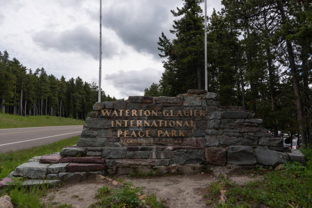 istock Waterton Glacier International Peace Park Sign 1154636657