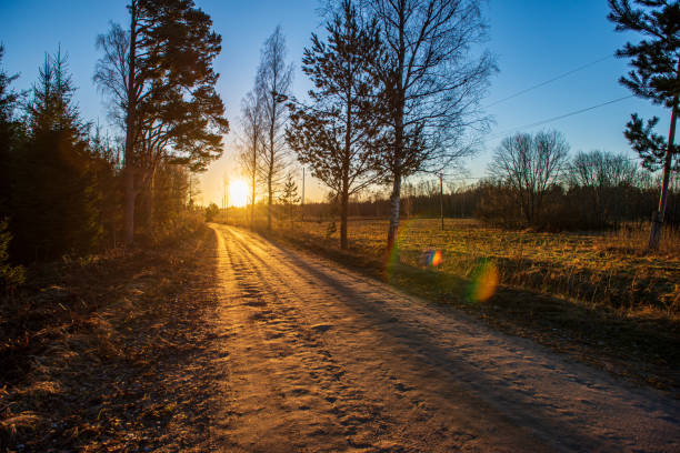 istock simple countryside dirt road in spring 1154636854