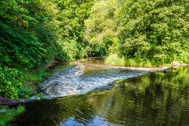 istock river in summer green shores with tree reflections in water 1154636963